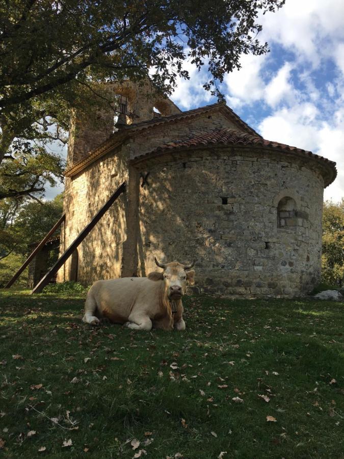 Gasthaus Mas Molladar Solo Adultos Camprodon Exterior foto