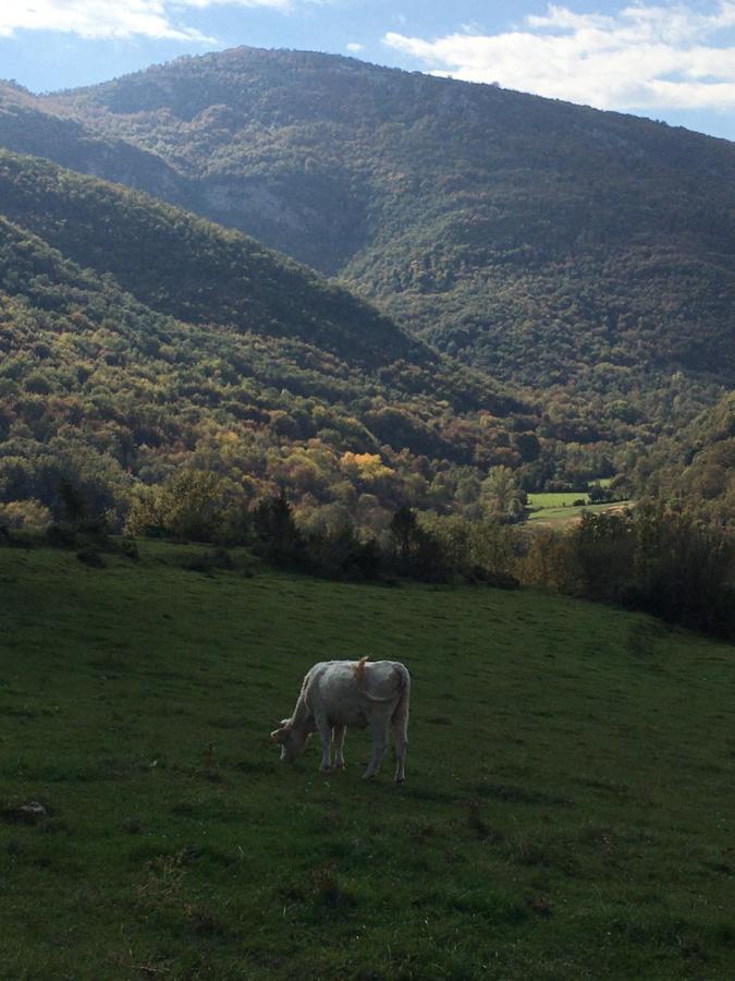 Gasthaus Mas Molladar Solo Adultos Camprodon Exterior foto
